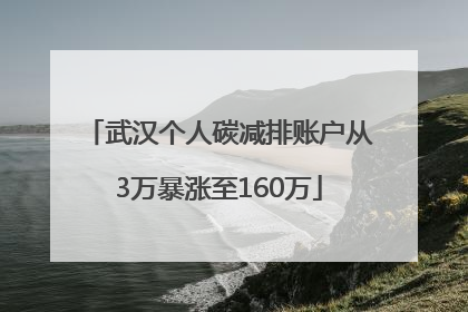 武汉个人碳减排账户从3万暴涨至160万